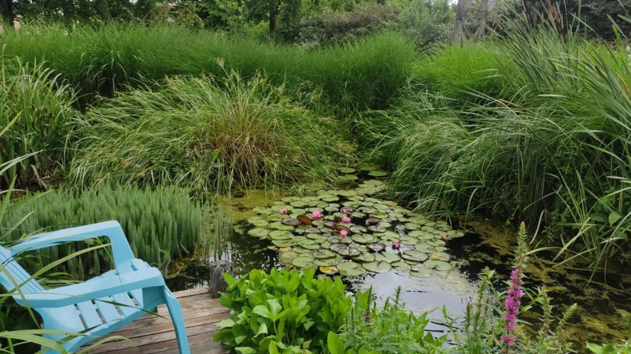 הוילה Cigogne Au Jardin De La Marquetterie מראה חיצוני תמונה